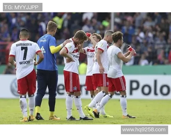 汉堡队主场豪取胜利，击败柏林赫塔